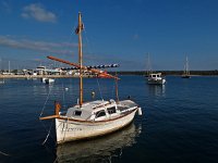 E, Baleares, Felanitx, Portocolom 2, Saxifraga-Hans Dekker