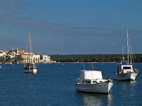 E, Baleares, Felanitx, Portocolom 3, Saxifraga-Hans Dekker