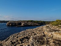 E, Baleares, Felanitx, Portocolom 4, Saxifraga-Hans Dekker