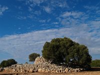 E, Baleares, Llucmajor, Capocorb Vell 2, Saxifraga-Hans Dekker