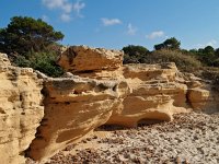 E, Baleares, Ses Salines, Colonia de Sant Jordi 2, Saxifraga-Hans Dekker