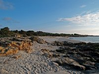 E, Baleares, Ses Salines, Colonia de Sant Jordi 7, Saxifraga-Hans Dekker