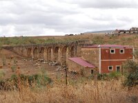 E, Caceres, Trujillo, CC-128 road to Caceres 16, Saxifraga-Tom Heijnen