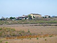 E, Caceres, Trujillo, CC-128 road to Caceres 4, Saxifraga-Tom Heijnen