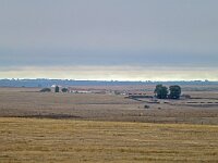 E, Caceres, Trujillo, CC-128 road to Caceres 8, Saxifraga-Tom Heijnen