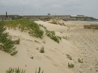 E, Cadiz, Tarifa 7, Saxifraga-Jan van der Straaten