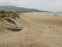 E, Cadiz, Tarifa, Bolonia 10, Saxifraga-Jan van der Straaten