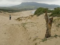 E, Cadiz, Tarifa, Bolonia 16, Saxifraga-Jan van der Straaten