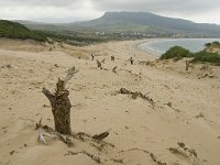 E, Cadiz, Tarifa, Bolonia 17, Saxifraga-Jan van der Straaten