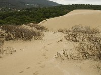 E, Cadiz, Tarifa, Bolonia 21, Saxifraga-Jan van der Straaten