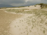 E, Cadiz, Tarifa, Playa de Lances 5, Saxifraga-Jan van der Straaten