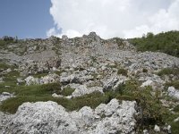 E, Cantabria, Camaleno, Brez 16, Saxifraga-Willem van Kruijsbergen