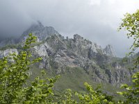 E, Cantabria, Camaleno, Brez 20, Saxifraga-Willem van Kruijsbergen