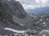 E, Cantabria, Camaleno, Fuente De 116, Saxifraga-Willem van Kruijsbergen