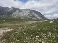 E, Cantabria, Camaleno, Fuente De 63, Saxifraga-Willem van Kruijsbergen