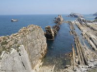 E, Cantabria, Liencres, Canales de los Urros 3, Saxifraga-Willem van Kruijsbergen