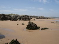 E, Cantabria, Liencres, Dunas de Liencres 13, Saxifraga-Willem van Kruijsbergen