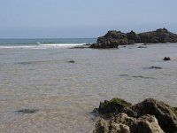 E, Cantabria, Liencres, Dunas de Liencres 14, Saxifraga-Willem van Kruijsbergen