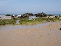 E, Cantabria, Liencres, Dunas de Liencres 17, Saxifraga-Willem van Kruijsbergen