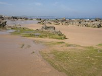 E, Cantabria, Liencres, Dunas de Liencres 29, Saxifraga-Willem van Kruijsbergen