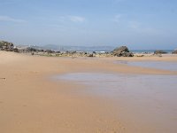 E, Cantabria, Liencres, Dunas de Liencres 31, Saxifraga-Willem van Kruijsbergen