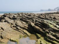 E, Cantabria, Liencres, Dunas de Liencres 32, Saxifraga-Willem van Kruijsbergen