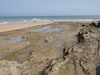 E, Cantabria, Liencres, Dunas de Liencres 38, Saxifraga-Willem van Kruijsbergen