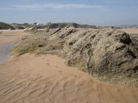 E, Cantabria, Liencres, Dunas de Liencres 40, Saxifraga-Willem van Kruijsbergen