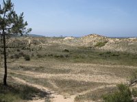 E, Cantabria, Liencres, Dunas de Liencres 69, Saxifraga-Willem van Kruijsbergen