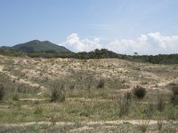 E, Cantabria, Liencres, Dunas de Liencres 77, Saxifraga-Willem van Kruijsbergen