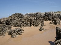 E, Cantabria, Liencres, Dunas de Liencres 83, Saxifraga-Willem van Kruijsbergen