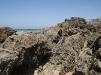 E, Cantabria, Liencres, Dunas de Liencres 85, Saxifraga-Willem van Kruijsbergen