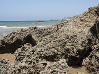 E, Cantabria, Liencres, Dunas de Liencres 86, Saxifraga-Willem van Kruijsbergen