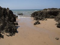 E, Cantabria, Liencres, Dunas de Liencres 88, Saxifraga-Willem van Kruijsbergen