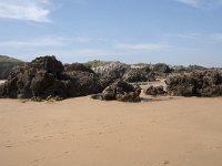 E, Cantabria, Liencres, Dunas de Liencres 9, Saxifraga-Willem van Kruijsbergen