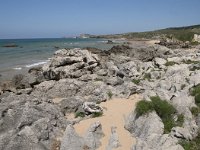 E, Cantabria, Liencres, Dunas de Liencres 91, Saxifraga-Willem van Kruijsbergen