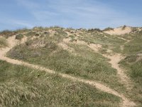 E, Cantabria, Liencres, Dunas de Liencres 99, Saxifraga-Willem van Kruijsbergen