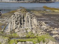 E, Cantabria, Liencres, Punta del Pino 37, Saxifraga-Willem van Kruijsbergen