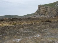 E, Cantabria, Miengo, Playa de los Caballos 34, Saxifraga-Willem van Kruijsbergen