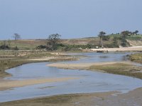 E, Cantabria, Valdaliga, Puente De La Rabia 10, Saxifraga-Willem van Kruijsbergen