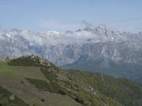 E, Cantabria, Vega de Liebana, Puerto de San Glorio 3, Saxifraga-Willem van Kruijsbergen