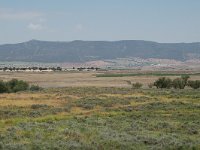 E, Ciudad Real, Daimiel, Tablas de Daimiel 5, Saxifraga-Jan van der Straaten