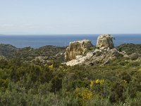 E, Girona, Cadaques, Cap de Creus 13, Saxifraga-Marijke Verhagen