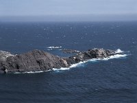 E, Girona, Cadaques, Cap de Creus 17, Saxifraga-Jan van der Straaten