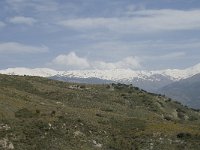 E, Granada, Orgiva, Sierra de Lujar, Olias 8, Saxifraga-Willem van Kruijsbergen