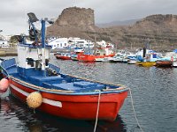 E, Las Palmas, Agaete, Puerto de las Nieves 9, Saxifraga-Tom Heijnen