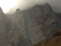 E, Las Palmas, Agaete, Valle de Agaete 1, Saxifraga-Tom Heijnen