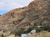 E, Las Palmas, Agaete, Valle de Agaete 4, Saxifraga-Tom Heijnen