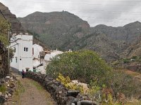 E, Las Palmas, Agaete, Valle de Agaete 5, Saxifraga-Tom Heijnen