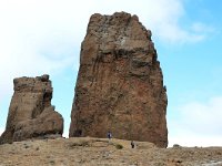 E, Las Palmas, Tejeda, Roque Nublo 2, Saxifraga-Tom Heijnen